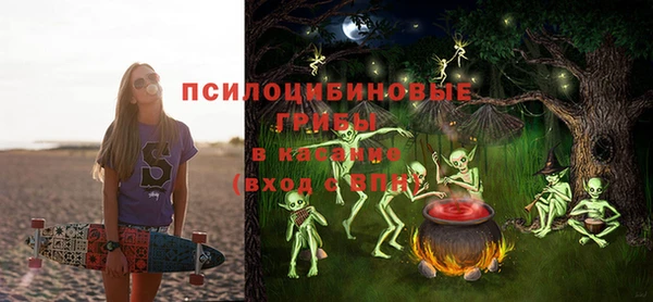 амф Арсеньев