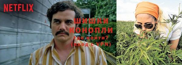 амф Арсеньев
