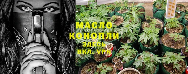 амф Арсеньев