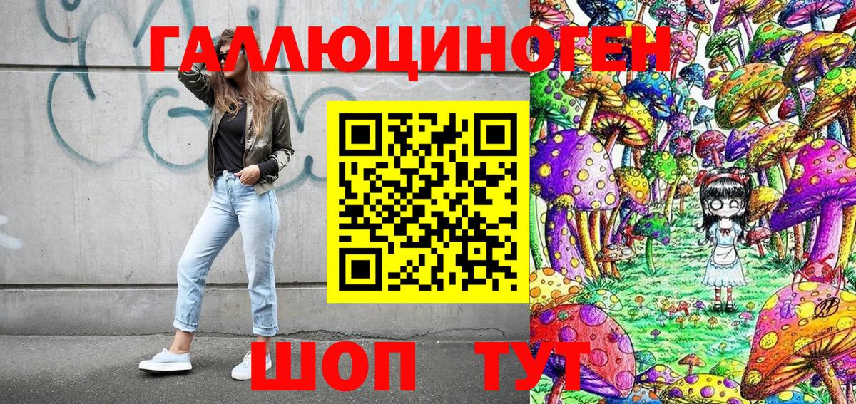 Псилоцибиновые грибы Psilocybine cubensis Новодвинск