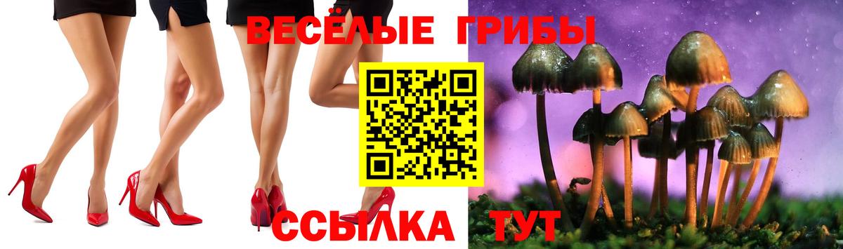 Псилоцибиновые грибы MAGIC MUSHROOMS  Псилоцибиновые грибы мухоморы  Вход с VPN  цена   Новодвинск 