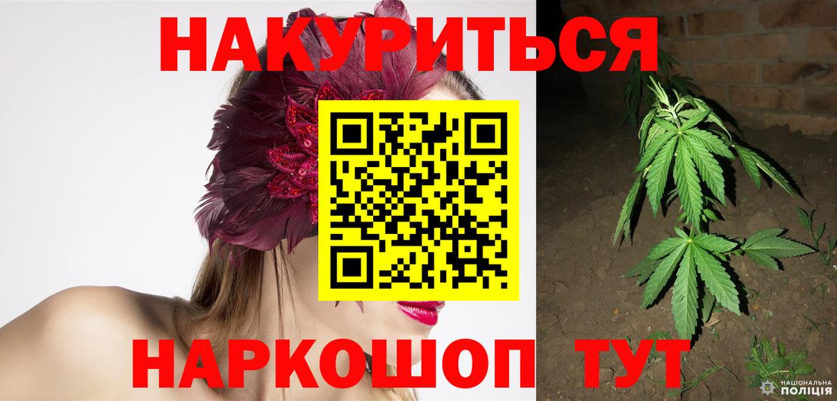 Канабис гибрид Новодвинск